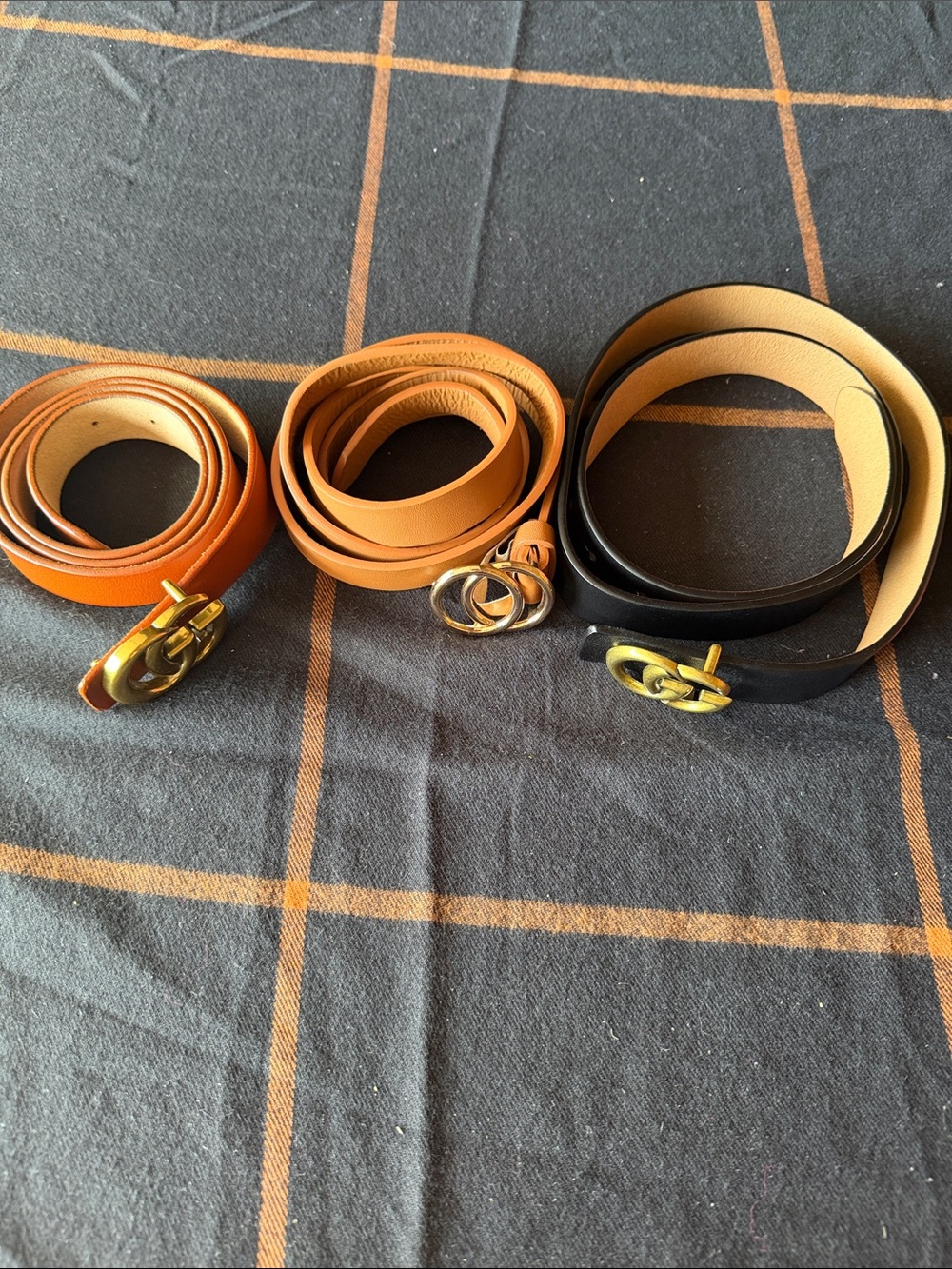 Women's Leather Belt Trio in Black and Tan with Gold Buckles